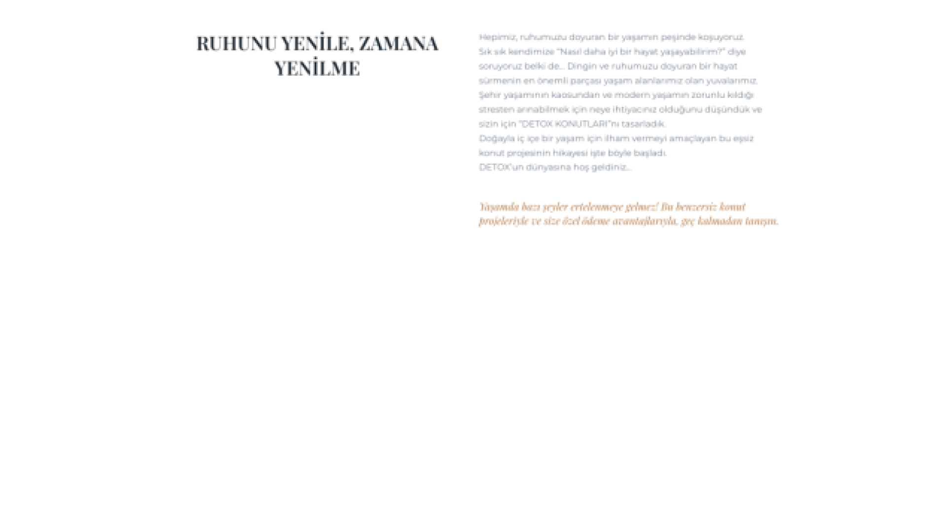 Detox Konutları Web Sitesi