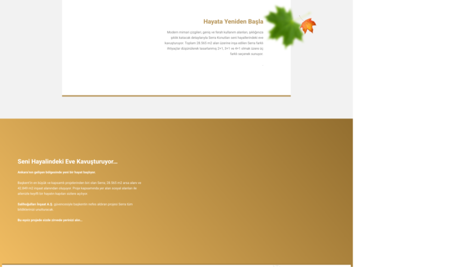 Serra Cadde Web Sitesi